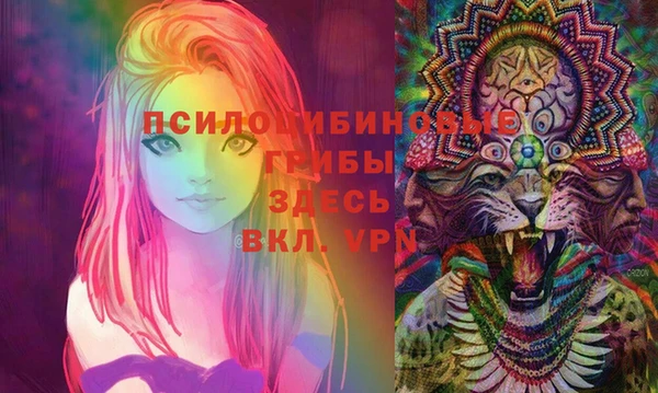 дурь Абдулино