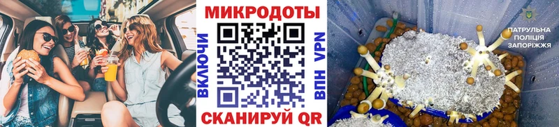 Галлюциногенные грибы MAGIC MUSHROOMS  Фокино 